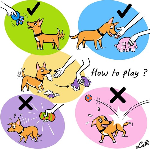 Squeak Latex Puppy Toy Funny Animal Sets Pet Interactive Play for Small Dog - Picture 3 of 7