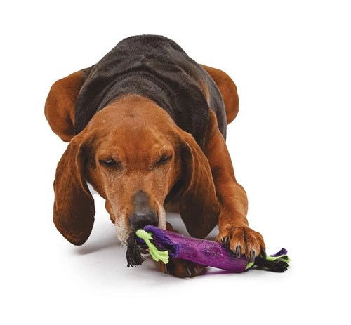 12 Zoll Hund Spielen Ziehen Spielzeug Langlebig Gummi Ast Seil Zähne Reinigung Zahnfleisch Massage - Bild 12 von 48