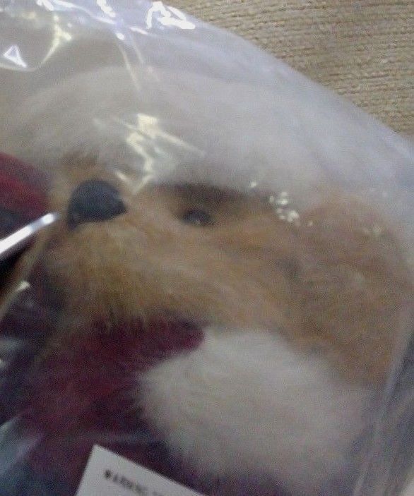 Picture 8 of 9