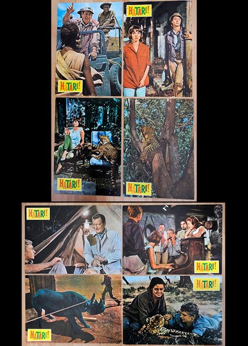 8 original Kino Fim Aushangfotos "Hatari" John Wayne Hardy Krüger EA 1962
