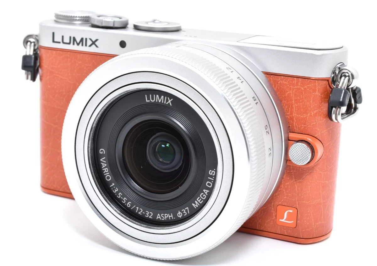 Panasonic LUMIX GM1 14-16.9MP Digital Cameras for Sale | Shop New