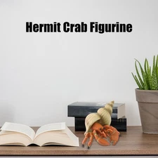 Little Critterz Hermit Crab "hermit" Miniature Figurine Statue Decor W/ Shell 