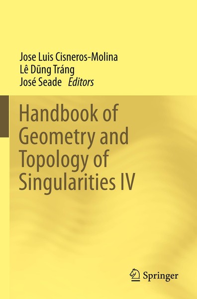 Handbook Of Geometry And Topology Of Singularities IV Lê D¿Ng TráNg-image