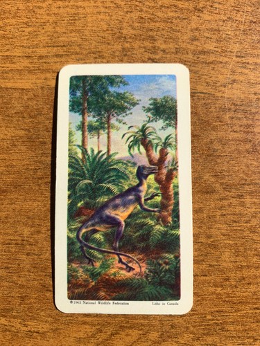 BROOKE BOND RED ROSE TEA CARDS - SERIES 5 - DINOSAURS - 第 18/66 張圖片