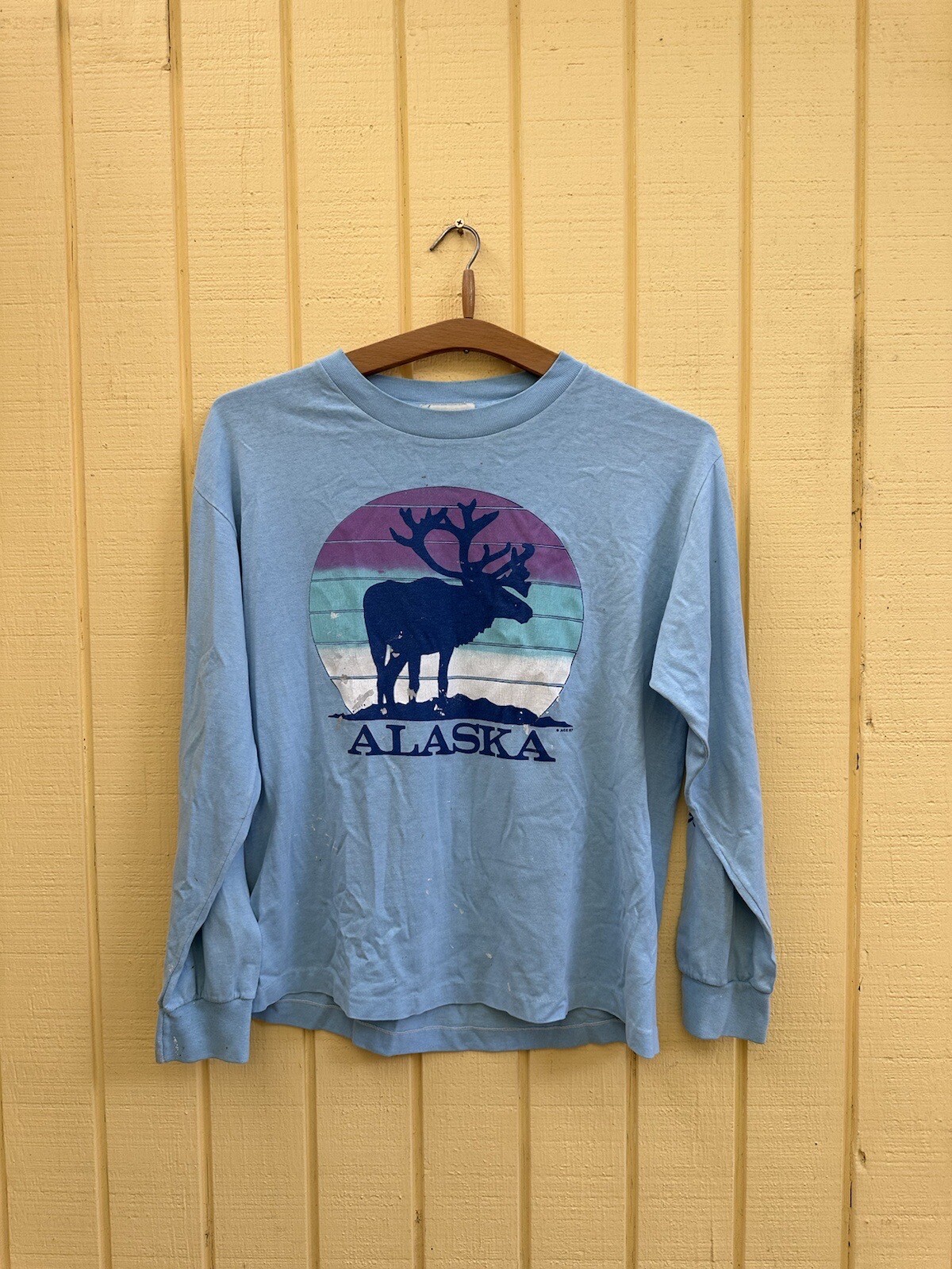 Vintage 1985 Alaska National Park Long Sleeve Shi… - image 1