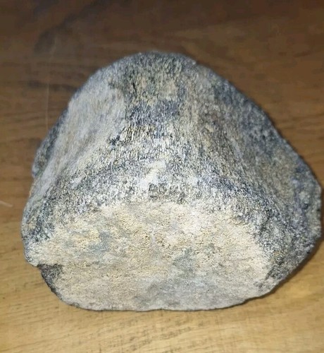 Wal Wirbel Knochen Fossil Ca 16 Mio Jahre Alt Anholt Selten Sehr Gut Erhalten - Bild 6 von 7