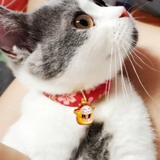 Necklace Collars Elastic Anti-Strangulation For Cat Kitty With Bell Japan Style