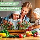 Foto 5 di 6