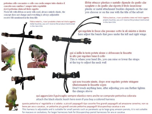 Pettorina elastica VERDE16 10MM sganciabili PER pappagalli DA CAICCO A AMAZZONE - Imagen 3 de 9