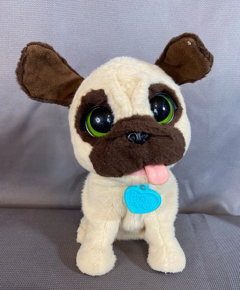 Jj jumping pug top