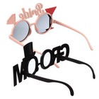 2 Pack Bride & Groom Novelty Glasses Hen Party Photo Props Eyeglasses