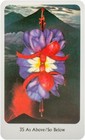 Bild 14 von 16