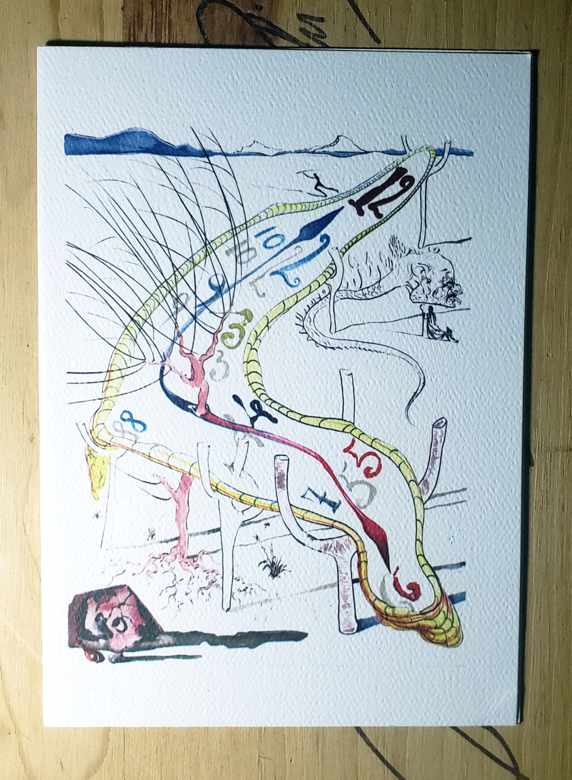Bild 2 von 24