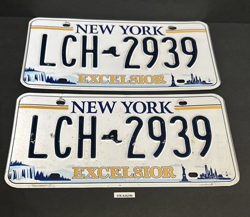 NEW YORK EXCELSIOR LICENSE PLATE LCH - 2939 - Picture 24 of 24
