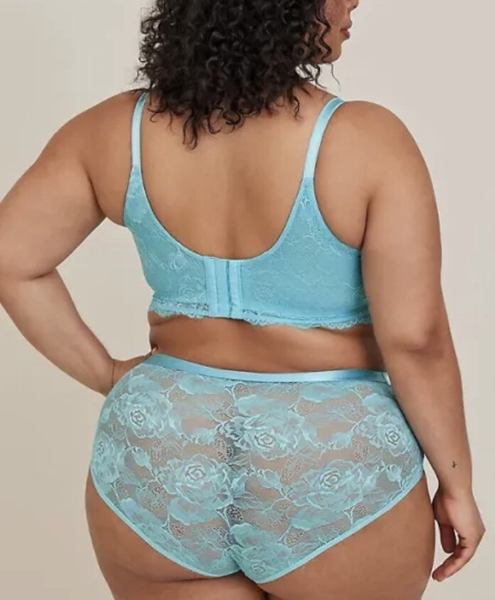 TORRID SEA BLUE FLORAL SHEER STRETCHLACE SEXY BRIEF PANTIES PLUS SIZE 4 4X 26 eBay