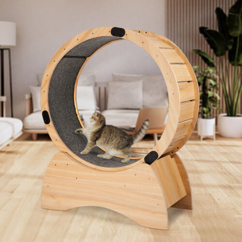 Katzentraining Rad für Fitness Gesund Indoor Katze Laufrad Teppich Runway - Bild 12 von 17