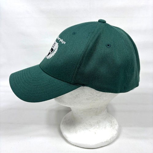 VTG Dropkick Murphys Boston Irish Celtic Punk Rock Band Flexfit Cap Hat L-XL - Picture 3 of 10