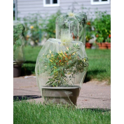 Tomato Cage Plant Support Wire Easy Harvest Garden Galvanized Steel 10 Pack - Picture 4 of 5