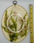Picture 3 of 6
