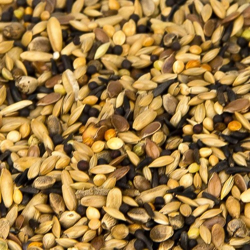 Kanarienfutter Spezial Kanarienvogelfutter 25 kg Leimüller - Bild 2 von 3