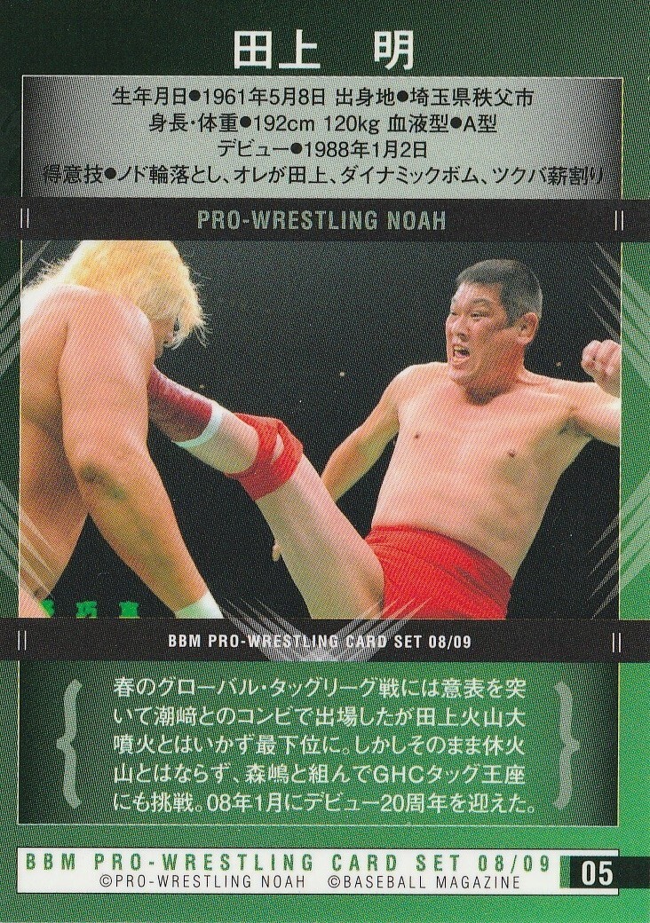Akira Taue 2008-09 BBM Pro Wrestling NOAH #5 | eBay