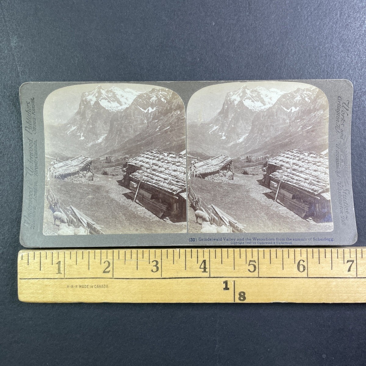 Scheidegg Mountain Farm in Switzerland Stereoview Antique c1897