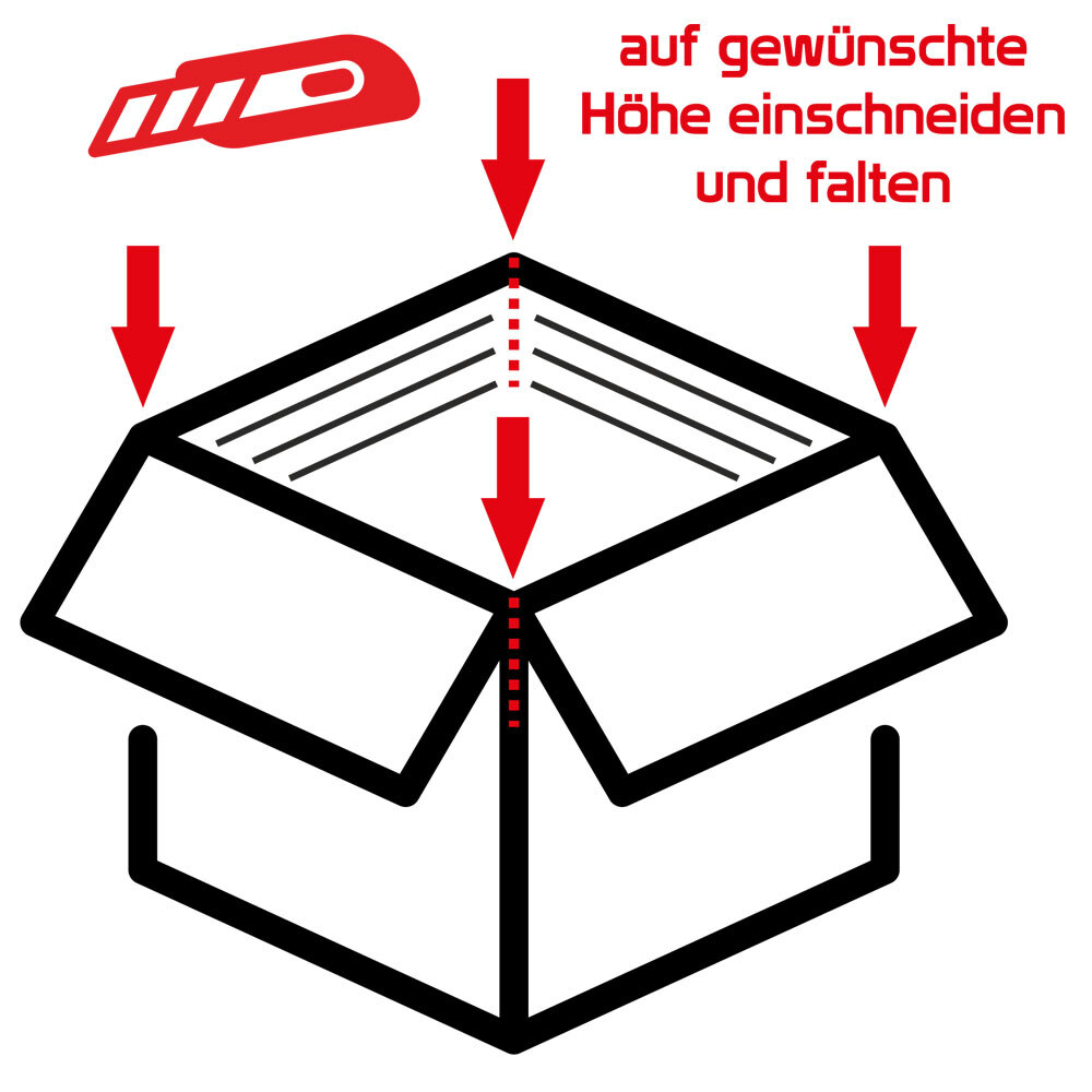 Bild 5 von 5