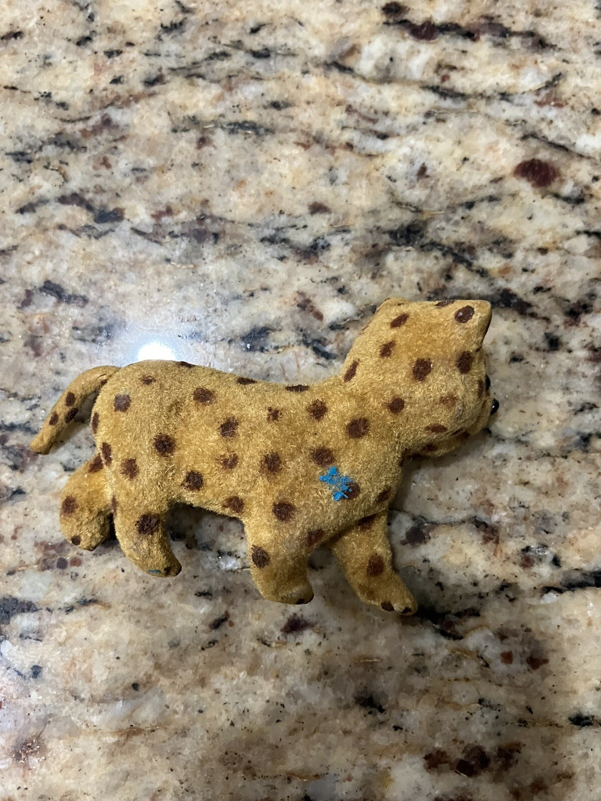 Picture 4 of 14