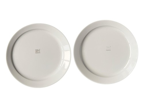 Corelle Shadow Iris Set of 2 Dinner Plates 10-1/4" USA Excellent Used Condition - Picture 2 of 2