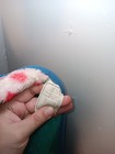 Foto 5 di 5