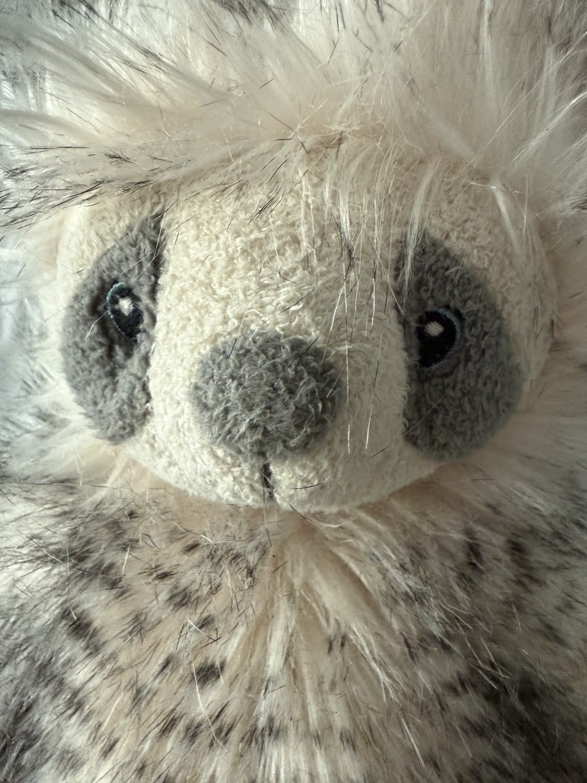 Bild 7 von 10