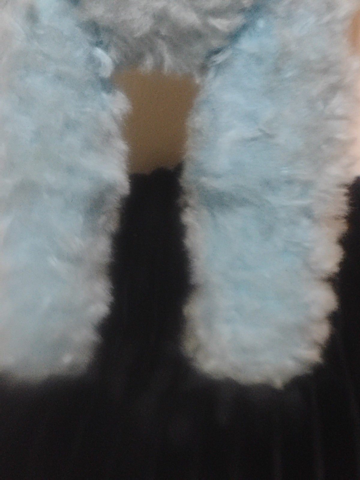 Bild 8 von 16
