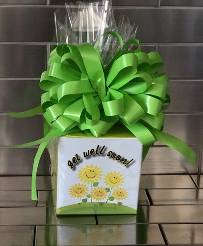 Get Well Soon Chocolate Gift Basket-Box Wrapped With Green Bow Pick Chocolate - 第 1/1 張圖片
