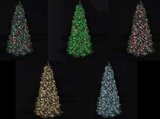 Premier Decorations Treebrights Led Tree Indoor Outdoor Premier Led Multi Action Treebrights Xmas Wedding Party Lights Green Cable