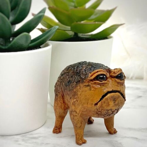 Cute African Rain Frog and Statue Gift Home Decoration - Picture 7 of 24