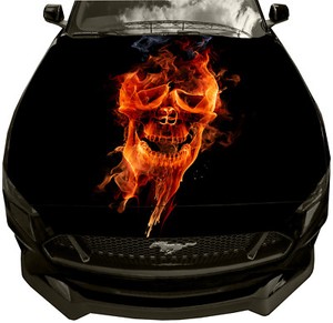 Skull flames FULL COLOR Car or Truck Window Decal Decals Sticker Skulls Graphic