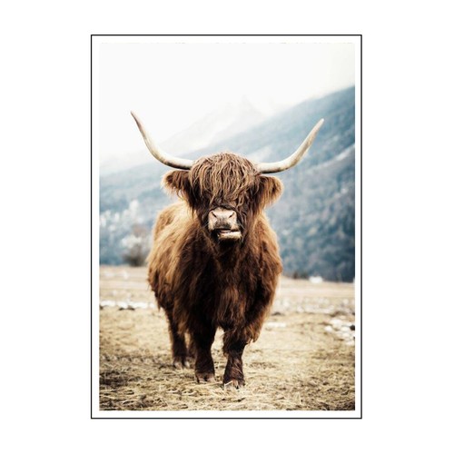 HIGHLAND COW - DEEP FRAMED CANVAS WALL ART PICTURE PRINT- BROWN ANIMAL - Picture 12 of 12