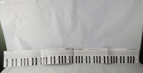 Vintage 1984 Castiglione Reversible Keyboard Learn to play Piano