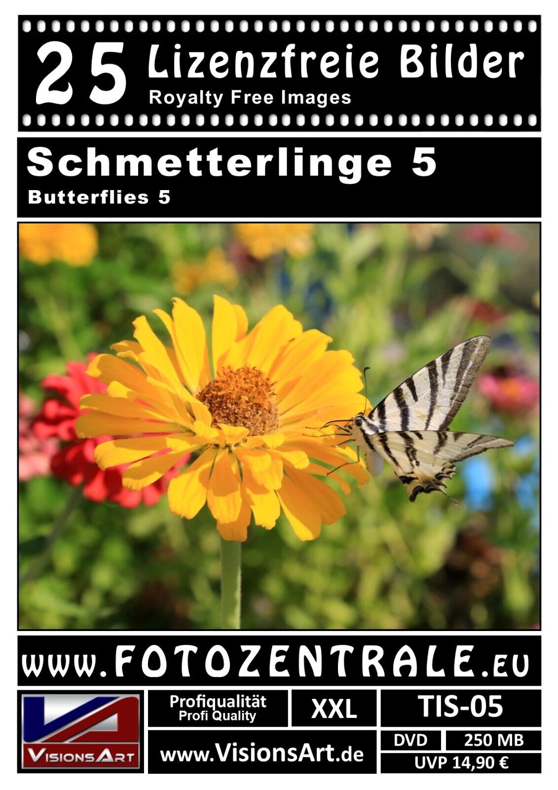 Bild 6 von 16