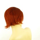 Bild 6 von 8