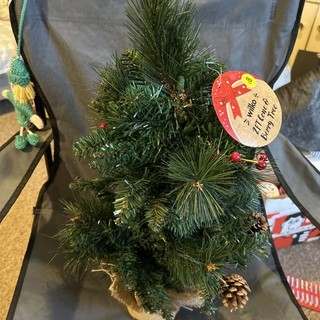 Albero di Natale 2 piedi cono e bacche con etichetta