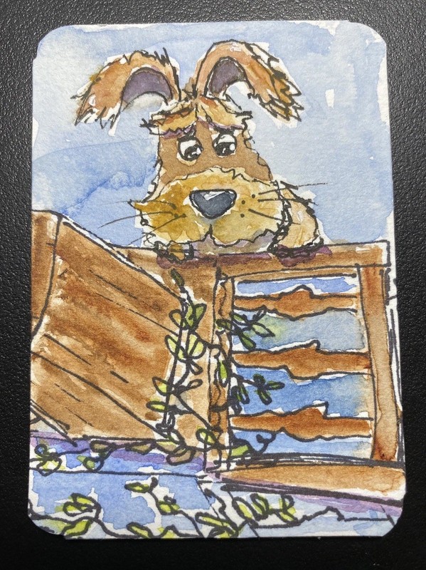 ACEO Original Art Card, Mischievous, Dog, 2.5x3.5, Signed