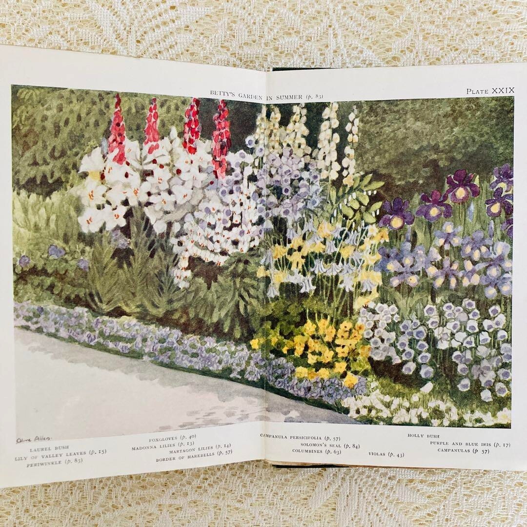 Picture 16 of 20
