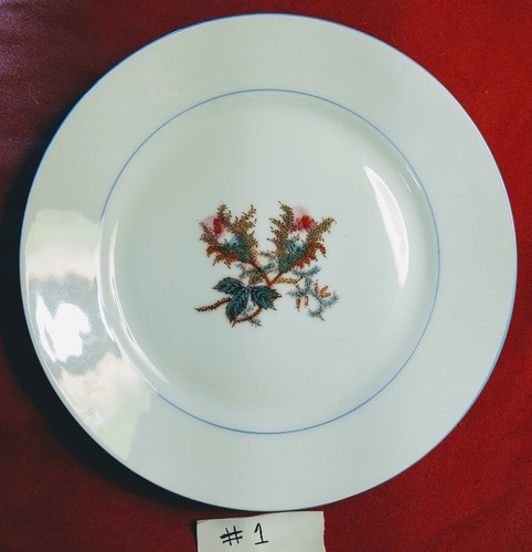 Platos de pan/ensalada finos pintados a mano vintage HAVILAND & Co Limoges 7,25" - Imagen 10 de 23