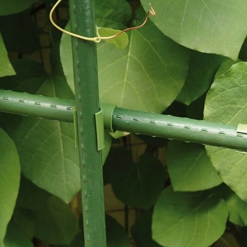 50Pcs Green-Plant Trellis Connector Clip Stake Clips For Fixed-Garden Frame Rod - Picture 5 of 12