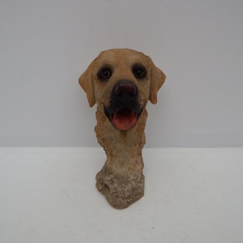 Labrador Dog Golden Retriever Head Bust Resin Figurine 18cm High Dog Collectable - Picture 3 of 17