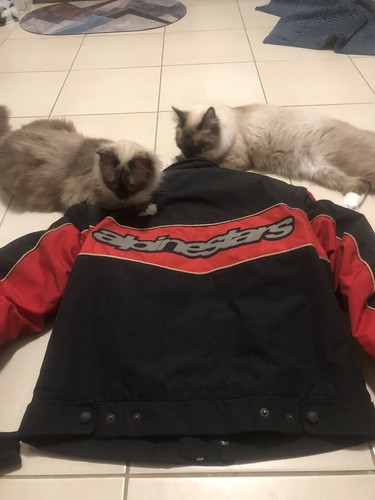 Vintage Jacket Alpine Stars - Picture 4 of 5