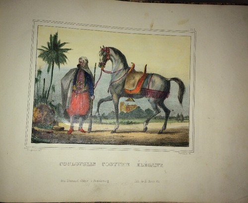 ALGÉRIE. COSTUMES, MOEURS ET USAGES DES ALGÈRIENS ,1837. 35 LITHOGRAPHIES. - Foto 7 di 12