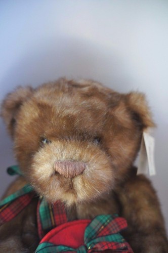 OSO GUND DE VACACIONES GORDON'S JOYEROS ""MAKE A WISH FOUNDATION - Imagen 5 de 5