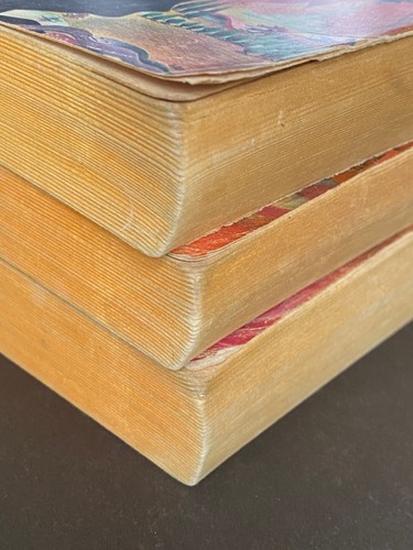 3er Set Herr der Ringe Trilogie J.R.R. Tolkien Vintage Dolphin Ed. Ballantine - Bild 12 von 22